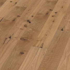 Oak No 24 - Glasgow